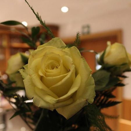 Hotel Albena - Garni Hotel Fürstenwalde Kültér fotó
